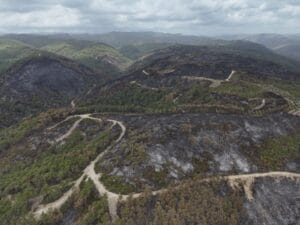 الغرفة المشتركة تعلن السيطرة على الحرائق الحراجية في غابات اللاذقية