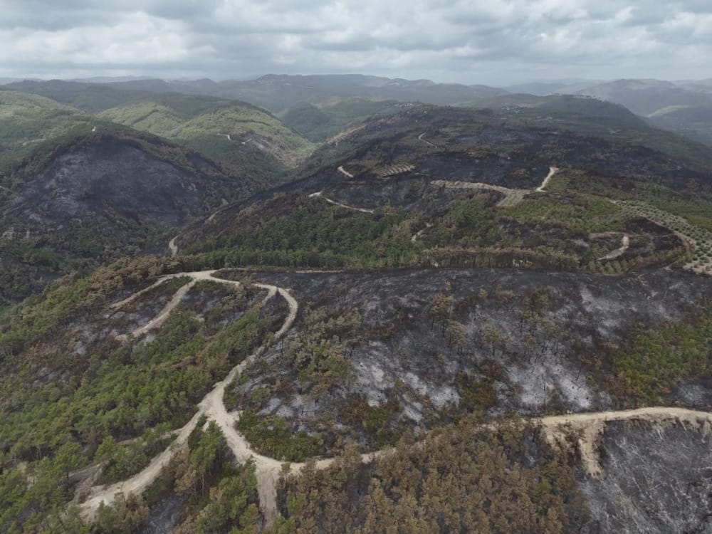 الغرفة المشتركة تعلن السيطرة على الحرائق الحراجية في غابات اللاذقية