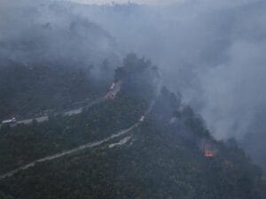 السيطرة على عدة حرائق في غابات جبل التركمان باللاذقية