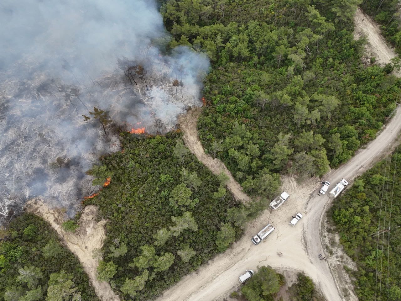 غرفة عمليات وزارية مشتركة للسيطرة على الحرائق بريف اللاذقية