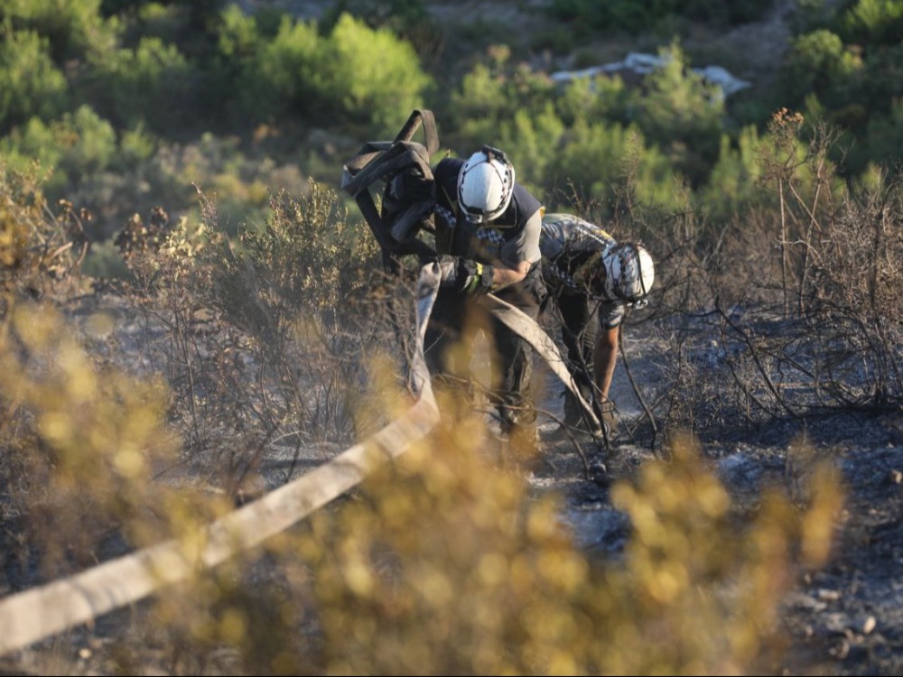 الدفاع المدني يخمد حريقين في غابات ريفي إدلب واللاذقية