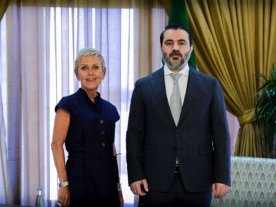 لتعزيز التعاون.. الشيباني يستقبل رئيسة البعثة الفنلندية في دمشق