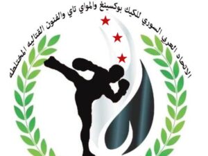 اتحاد الكيك بوكسينغ