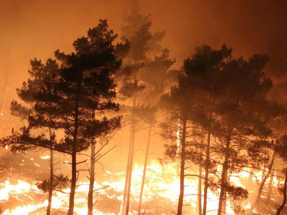 الدفاع المدني: النيران تقترب من منازل المدنيين بريف اللاذقية