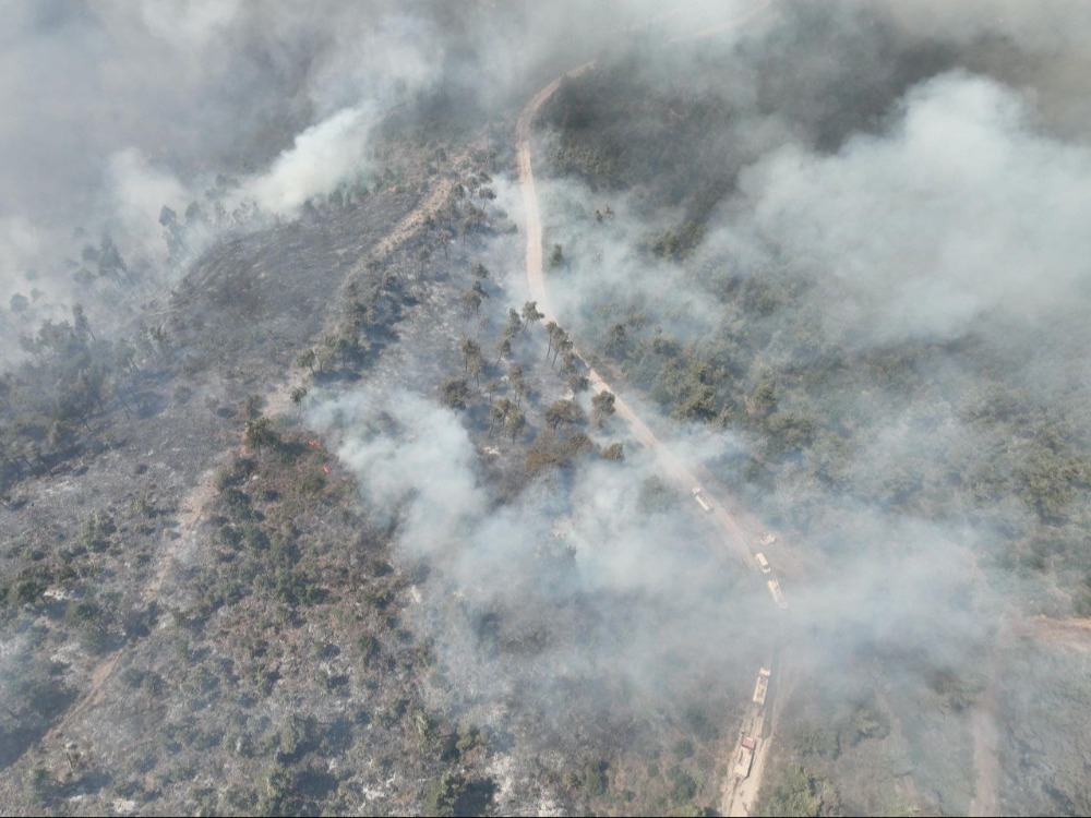 الحرائق تسببت بتضرر 15 ألف هكتار في ريف اللاذقية