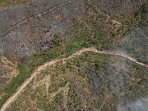 تصرر مساخات واسعة من الغابات في ريف اللاذقية بسبب الحرائق