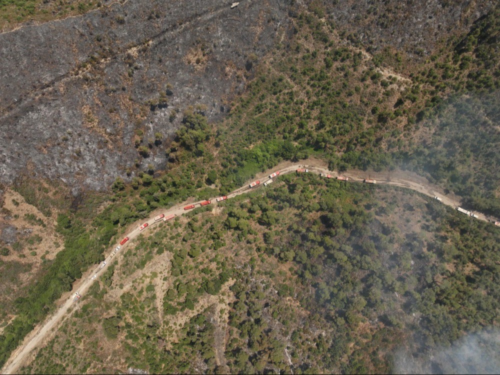 تصرر مساخات واسعة من الغابات في ريف اللاذقية بسبب الحرائق