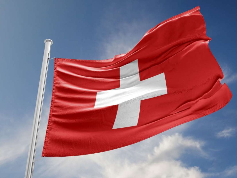 الخارجية السويسرية ترحب بعمل لجنة تقصي الحقائق بشأن أحداث الساحل