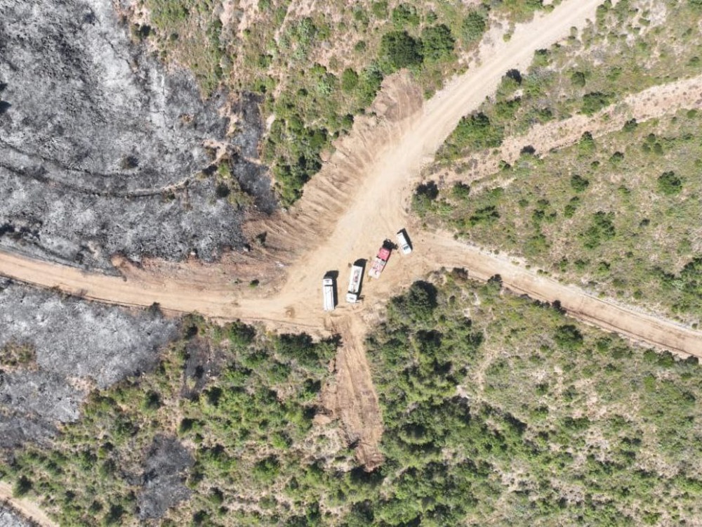 المنظمة الدولية لحقوق الإنسان تدعو إلى تعاون دولي لإطفاء الحرائق في سوريا