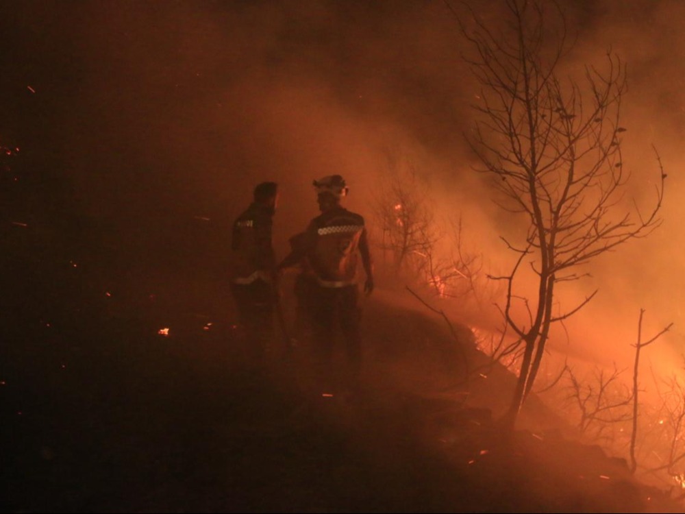 وزارة الشؤون الاجتماعية تشكّل غرفة طوارئ للاستجابة السريعة لحرائق اللاذقية