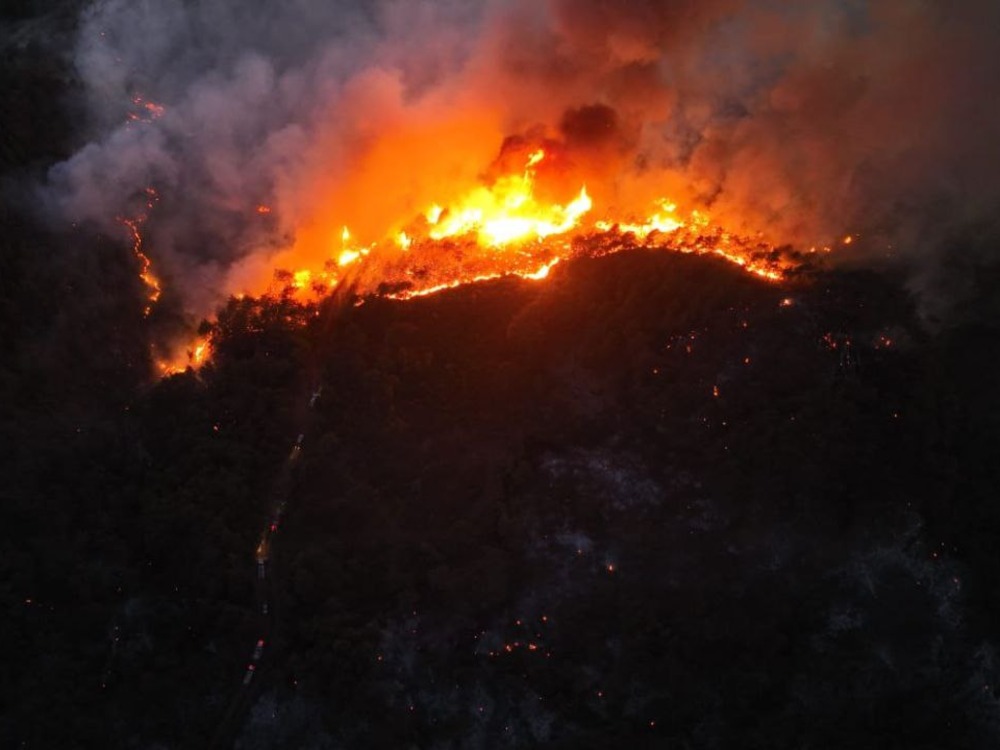 مدير مديرية الحراج: امتداد الحرائق في ريف اللاذقية