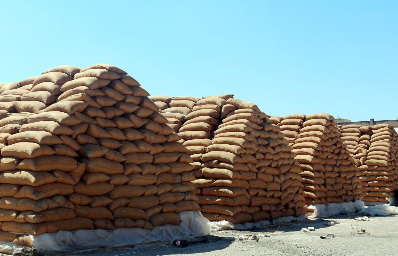 المؤسسة السورية للحبوب