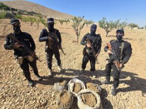 قادمة من لبنان.. حرس الحدود يضبط شحنة حشيش مخدر في منطقة النبك