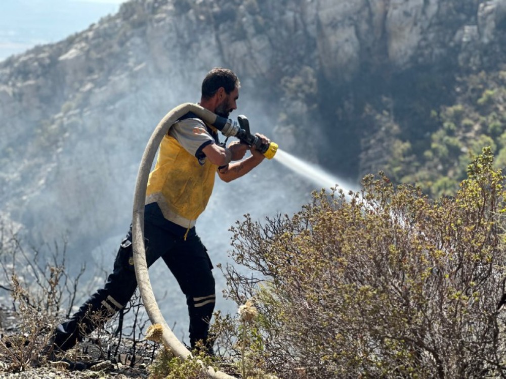 الدفاع المدني يعلن وقف امتداد حرائق الغابات والأحراج