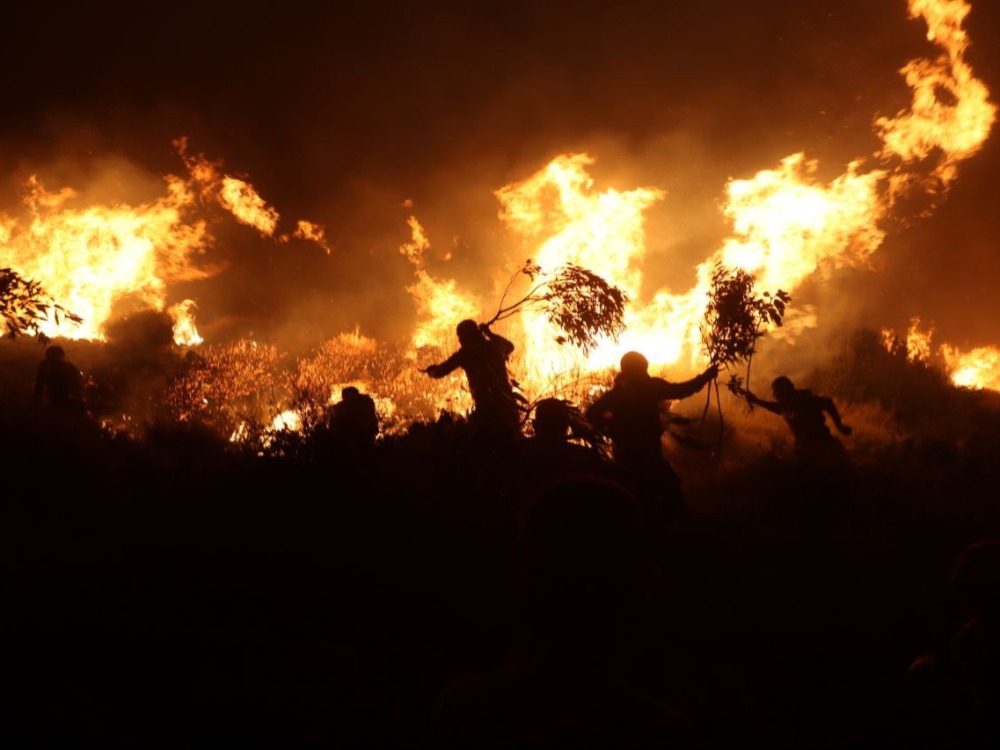 فرق الإطفاء تسيطر على الحرائق في منطقتين بريف حماة