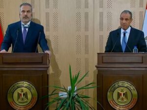 مصر وتركيا تؤكدان أهمية الحفاظ على وحدة سوريا وسلامة أراضيها