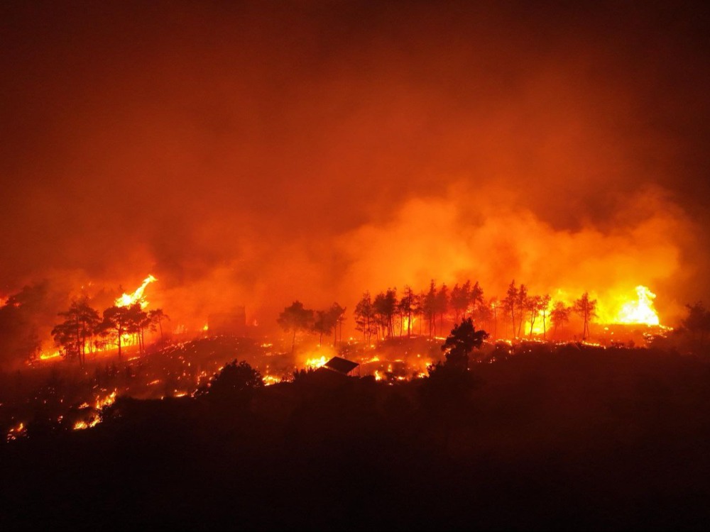 حرائق الغابات في سوريا