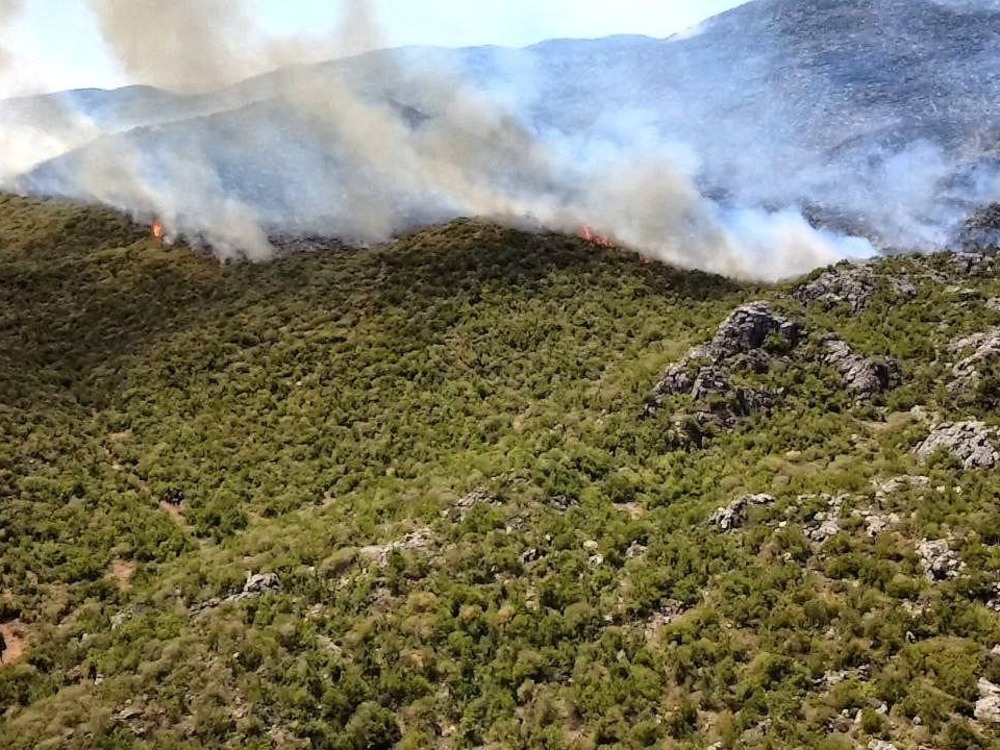 تضرر أربعة آلاف هكتار بريف حماة نتيجة الحرائق