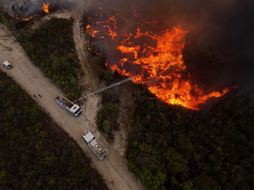 فرق الإطفاء تواصل جهودها لإخماد حريق حراجي وزراعي في ريف اللاذقية