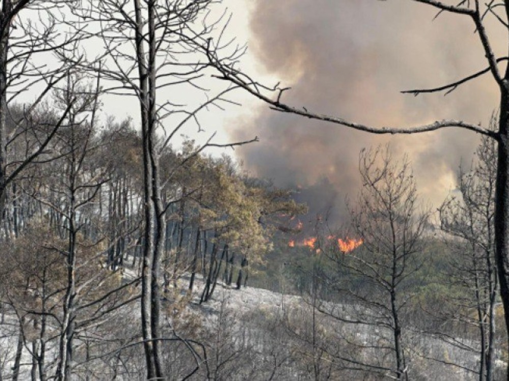 الدفاع المدني: سيطرنا على أكثر من 80% من البؤر المشتعلة بريف اللاذقية