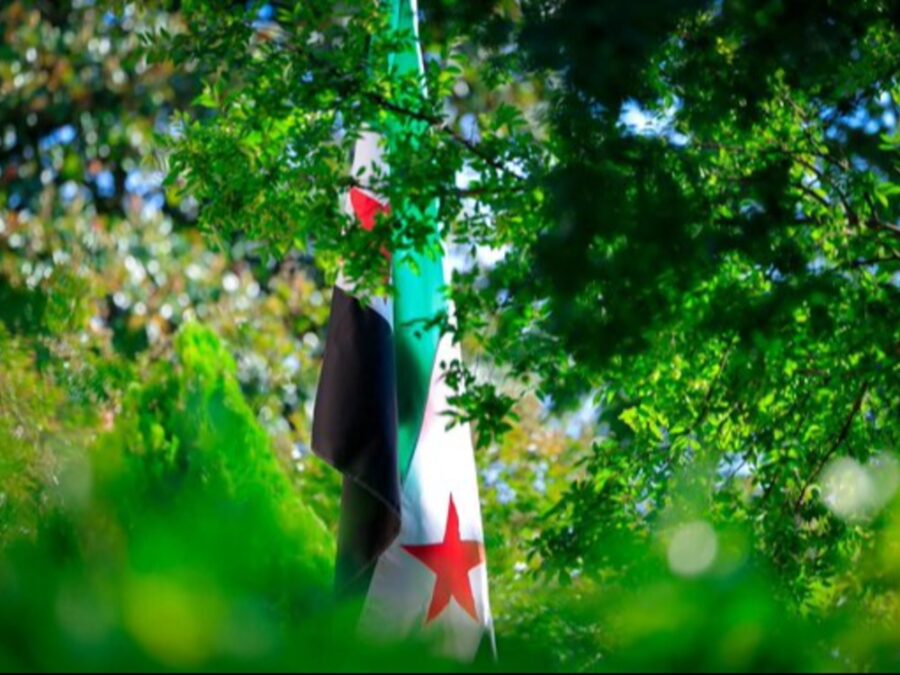 ردود فعل حكومية ودولية وإشادة برفع العلم على السفارة السورية في واشنطن