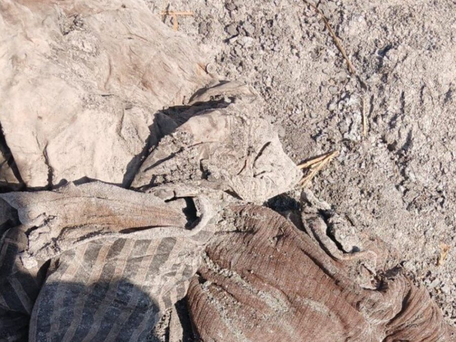 العثور على رفات نحو 100 شخص استشهدوا بكمين للنظام البائد قبل سنوات في ريف دمشق