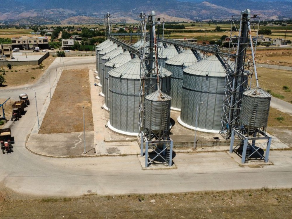 هيئة الرقابة والتفتيش تتحفظ على كميات من القمح المصاب بآفة النيماتودا