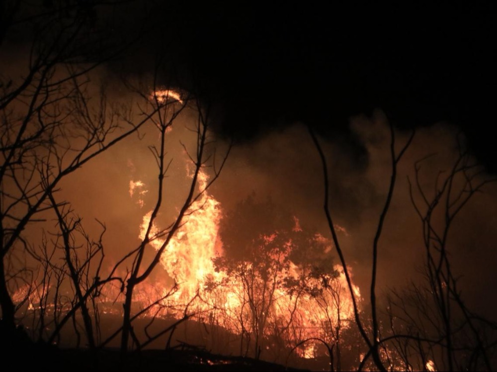 لليوم الرابع على التوالي.. جهود مستمرة لإخماد حرائق الغابات في ريف اللاذقية