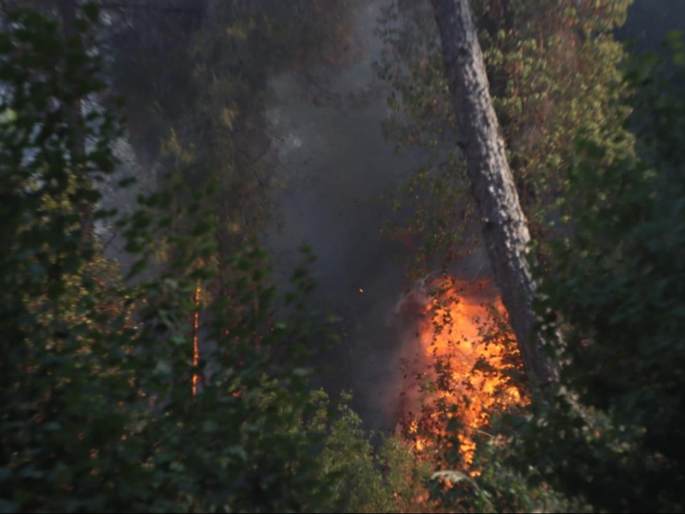 الدفاع المدني يسيطر على حرائق الحفة بريف اللاذقية