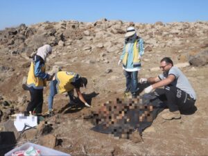 الدفاع المدني يستجيب لبلاغ عن رفات بشرية في نوى بريف درعا