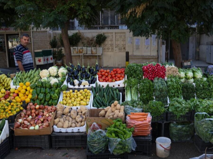 خلال 10 أيام.. 6 آلاف طن حجم صادرات الفواكه والخضروات للخليج والعراق