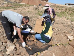 العثور على رفات بشرية قرب السجن المركزي في درعا