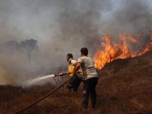 اندلاع حريق حراجي على طريق الإيمان _ البسيط في اللاذقية