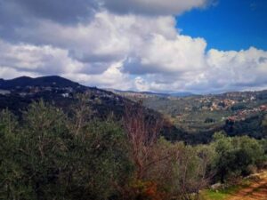 انخفاض تدريجي بدرجات الحرارة وحالة عدم استقرار تبدأ مساء اليوم