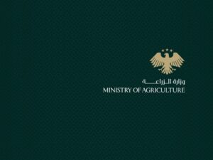 وزارة الزراعة تحدد سعر مبيع بذار القمح للمزارعين لموسم 2025 - 2026