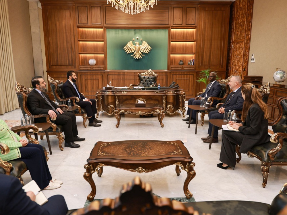 الرئيس الشرع يبحث مع البنك الدولي توسيع مجالات التعاون التنموي