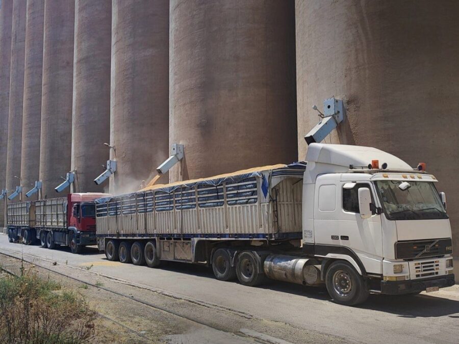 تضم خمس بواخر.. وصول أكثر من 134 ألف طن من القمح إلى مرفأي طرطوس واللاذقية