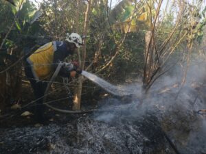 الدفاع المدني يعمل على إخماد 3 حرائق حراجية وزراعية في طرطوس