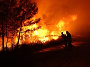 يواصل الدفاع المدني مكافحة حريق واسع في غابات رأس البسيط بريف اللاذقية.