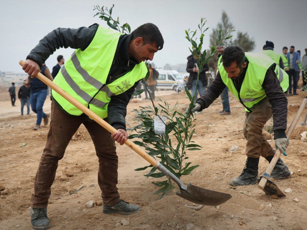 لزراعة 500 ألف غرسة.. إطلاق حملة "ريفنا أخضر" في ريف دمشق