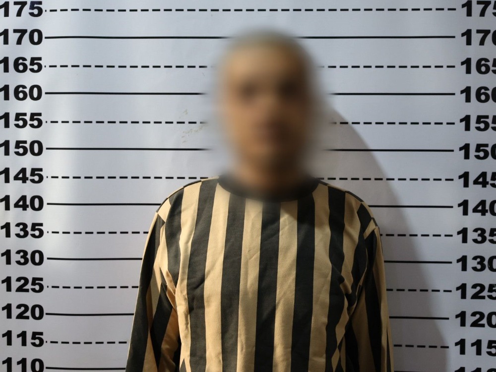 وزارة الداخلية: القبض على أحد المتورطين بتهريب المخدرات إلى الأردن