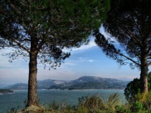 درجات الحرارة مستمرة بالانخفاض وفرصة لأمطار خفيفة في بعض المناطق