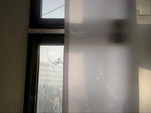 تنظيم قسد يستهدف السكن الجامعي ومحيط مشفى الطب الجراحي في حلب