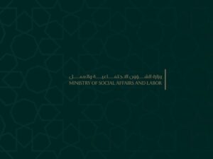 الشؤون الاجتماعية تقدم تدخلات طارئة للمناطق المتضررة من العاصفة القطبية