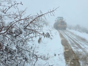 وزارة الزراعة تحذّر الفلاحين من موجة صقيع متوسطة إلى قوية الشدّة