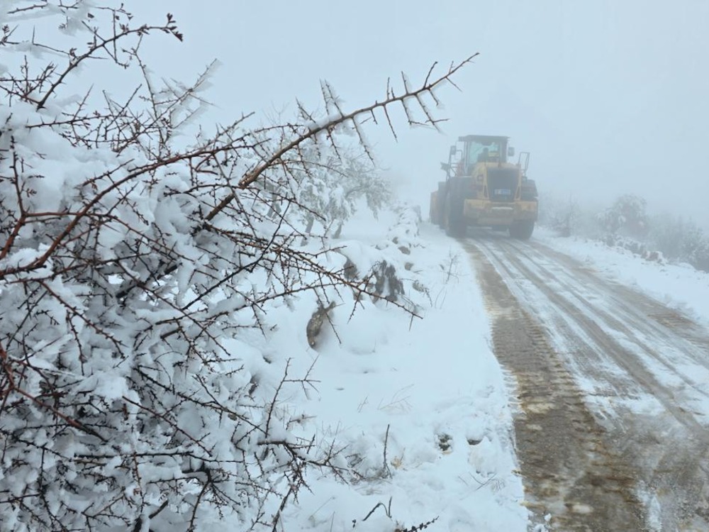 وزارة الزراعة تحذّر الفلاحين من موجة صقيع متوسطة إلى قوية الشدّة