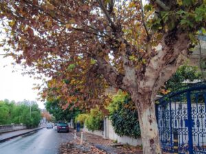 انخفاض في درجات الحرارة.. وموجة الصقيع مستمرة حتى الخميس