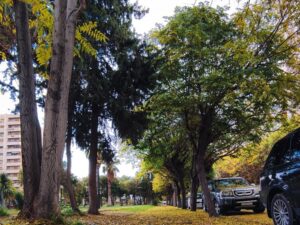 طقس شتوي مستقر ودرجات الحرارة حول معدلاتها في أغلب المناطق