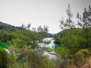 توقعات بهطولات مطرية ودرجات الحرارة أعلى من معدلاتها