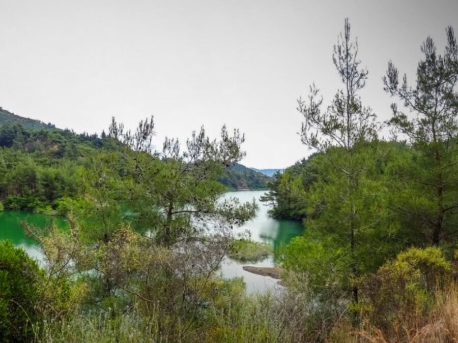 توقعات بهطولات مطرية ودرجات الحرارة أعلى من معدلاتها